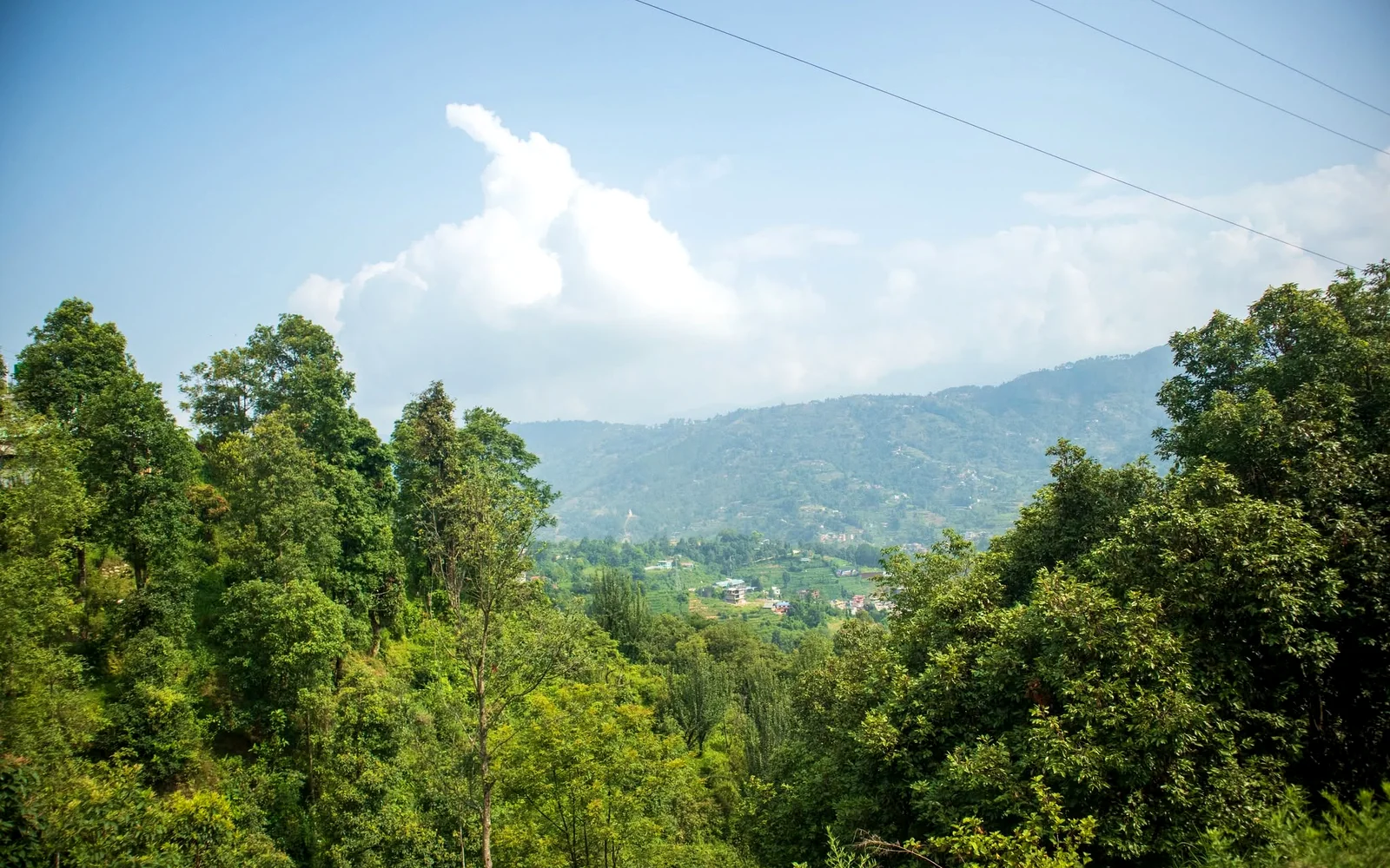 5 Day Yoga Meditation and Nature Hike with Ayurvedic Massage